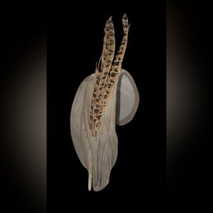 Vintage Mid Centry Feather Hat